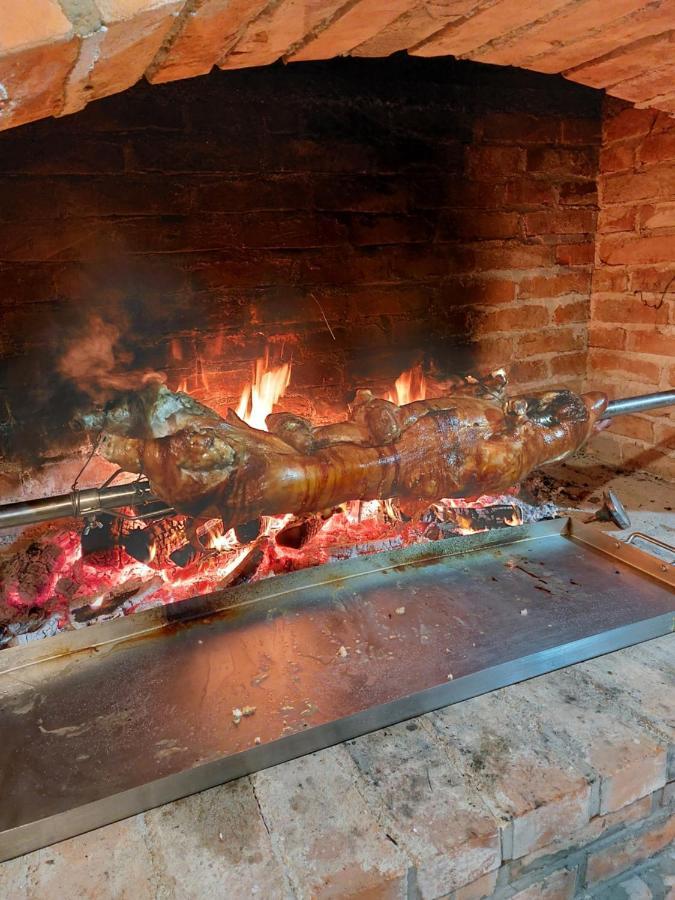 Willa House Kupa Mb Petrinja Zewnętrze zdjęcie