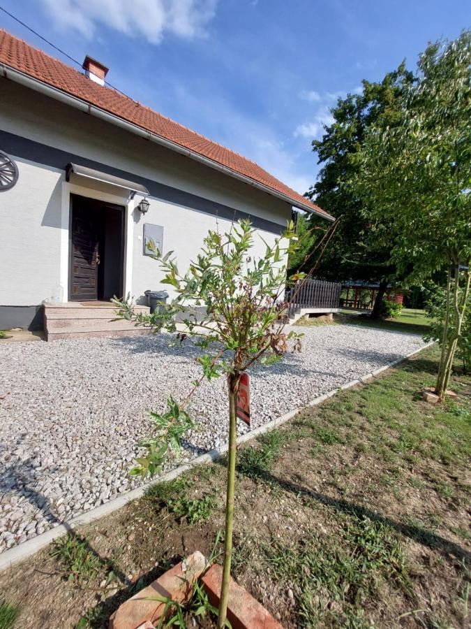Willa House Kupa Mb Petrinja Zewnętrze zdjęcie