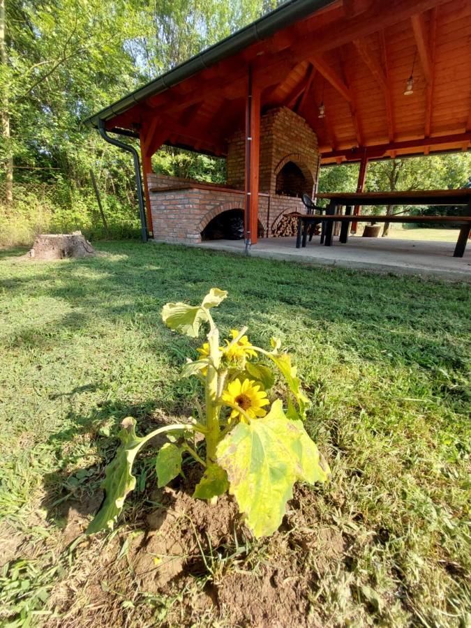Willa House Kupa Mb Petrinja Zewnętrze zdjęcie