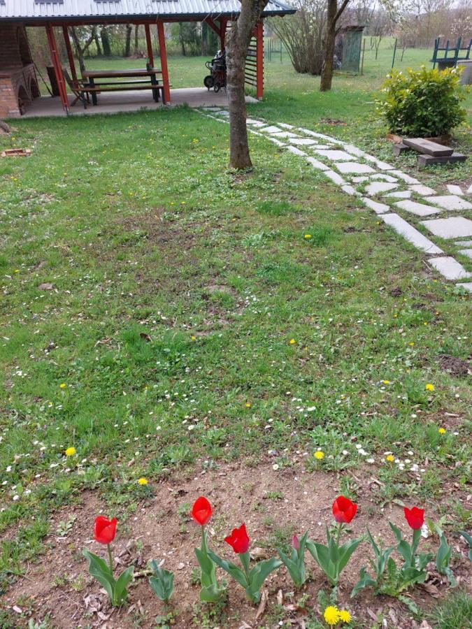 Willa House Kupa Mb Petrinja Zewnętrze zdjęcie