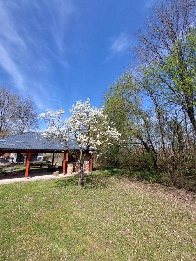 Willa House Kupa Mb Petrinja Zewnętrze zdjęcie